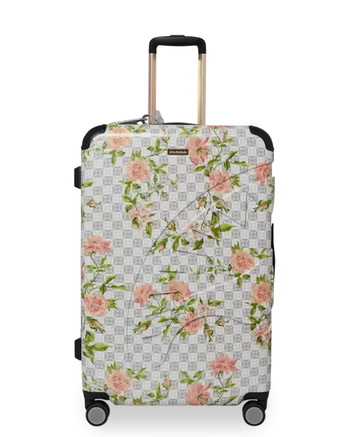 A.I. AFRICAN INTELLIGENCE ELEGANT ENERGY SHARKITECTURE FULL SIZE LUGGAGE – SANDFLOWER COLLAB