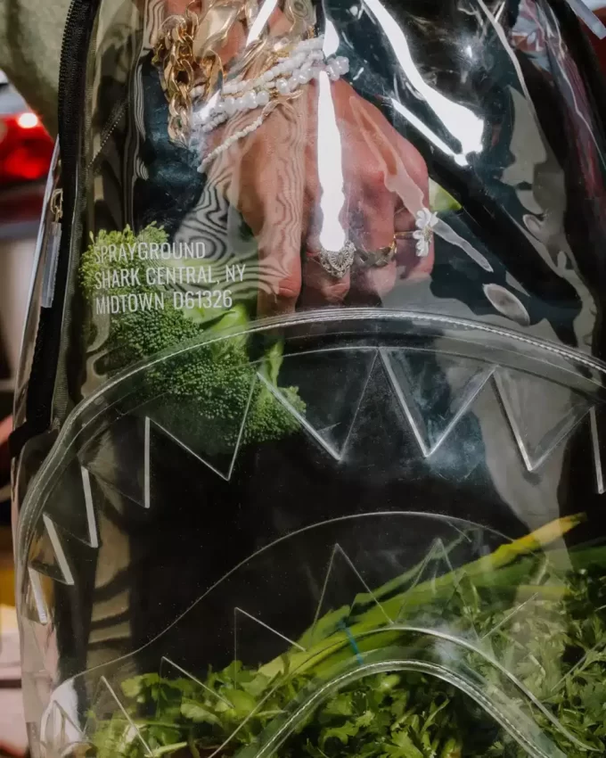 CLEAR BACKPACK – SHARK CENTRAL