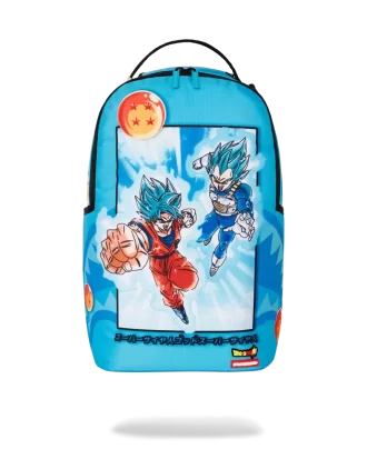 DRAGON BALL Z SUPER SAIYAN BLUE GOKU AND VEGETA