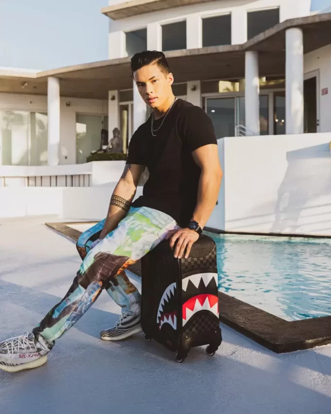 HENNY AIIR TO THE THRONE JETSETTER CARRY-ON LUGGAGE HENNY AIIR TO THE THRONE JETSETTER CARRY-ON LUGGAGE