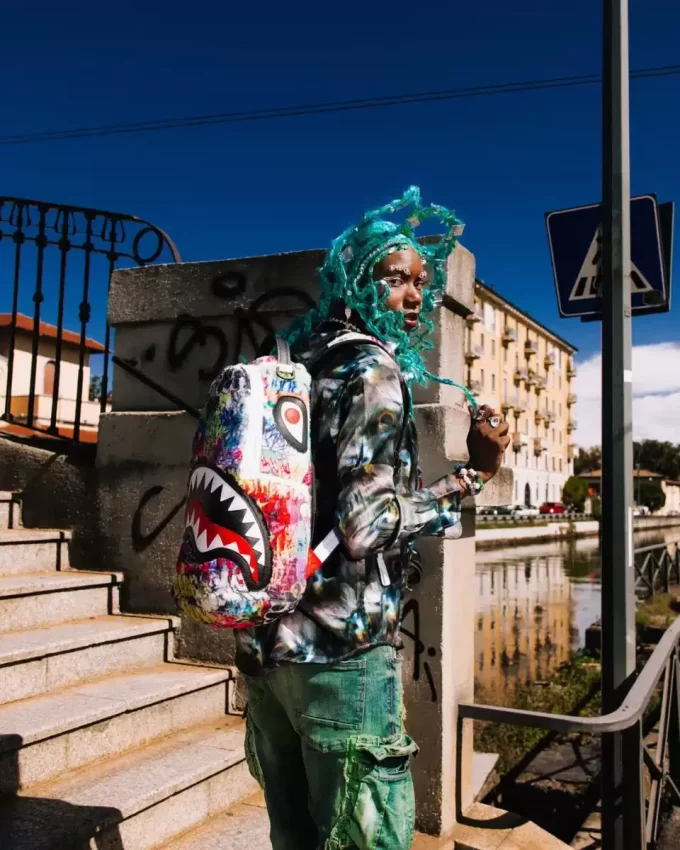 LE MONDE DES GRAFFITIS BACKPACK