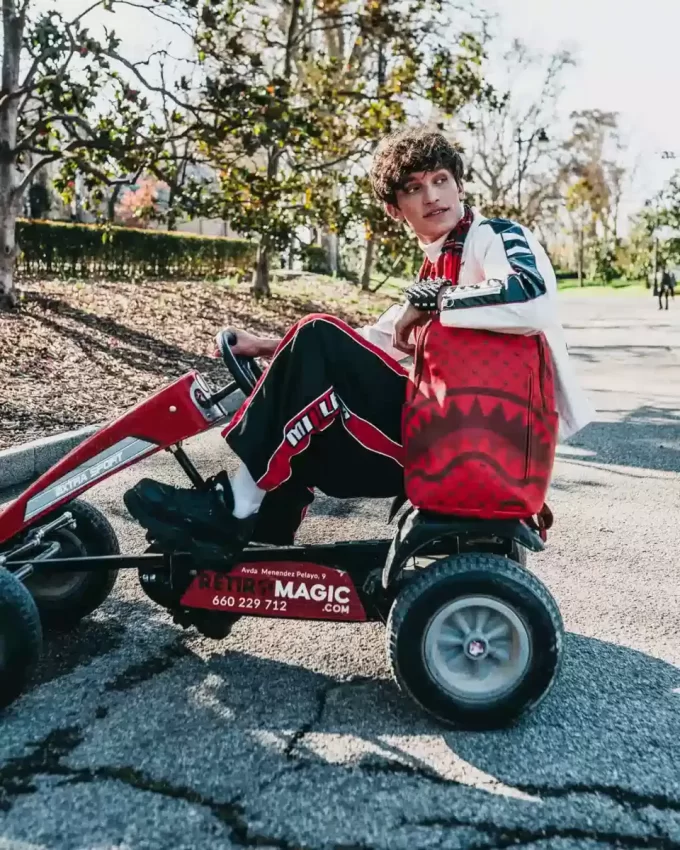 MONEY PATTERN BRICK BACKPACK (DLXV)