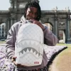 MONEY PATTERN POWDER BACKPACK (DLXV)