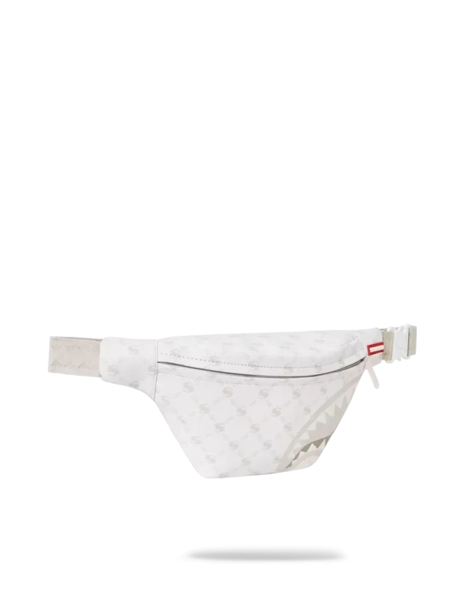 MONEY PATTERN POWDER SAVVY CROSSBODY