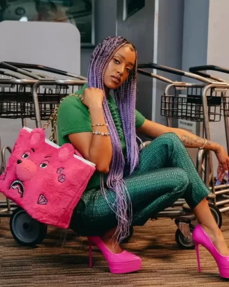 PLUSH MONEYBEAR TOTE (PINK)