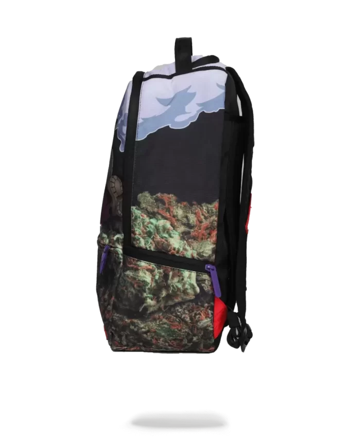 PURPLE HAZE GANJA BEAR