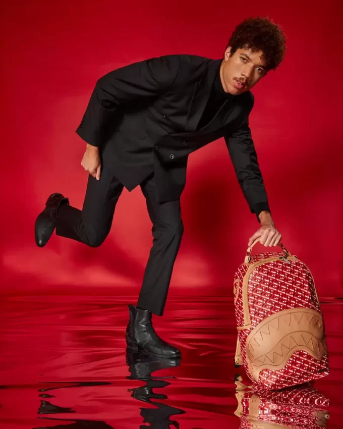 THE 3DSG CONCORDE BACKPACK