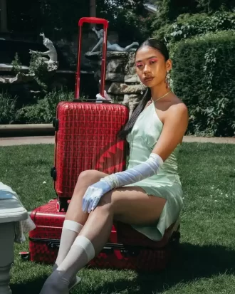 VENI VIDI VICI LUGGAGE