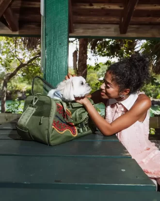 WON’T STOP TILL THE TOP PET CARRIER