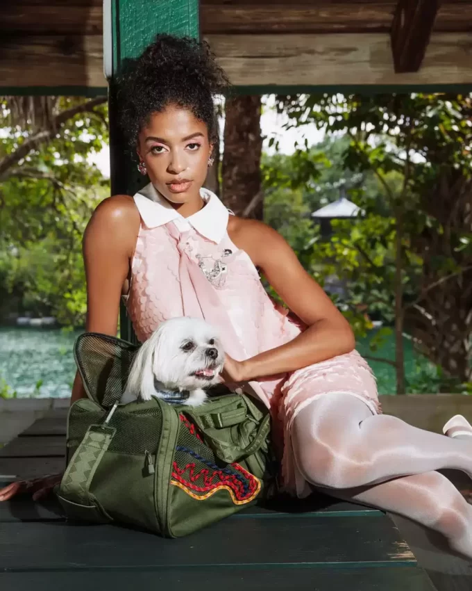 WON’T STOP TILL THE TOP PET CARRIER